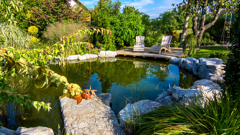 Gartenteiche und Biotope von Ihrem Gartenbauer