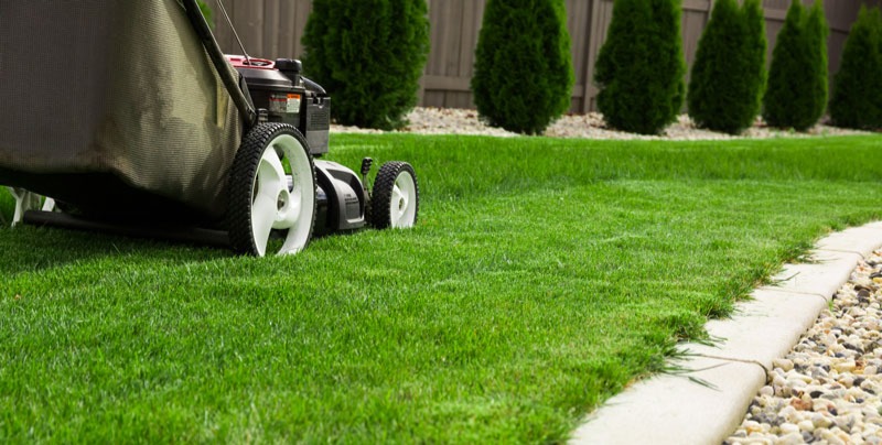 Gartenarbeiten, professioneller Gartenunterhalt durch Ihren Gärtner